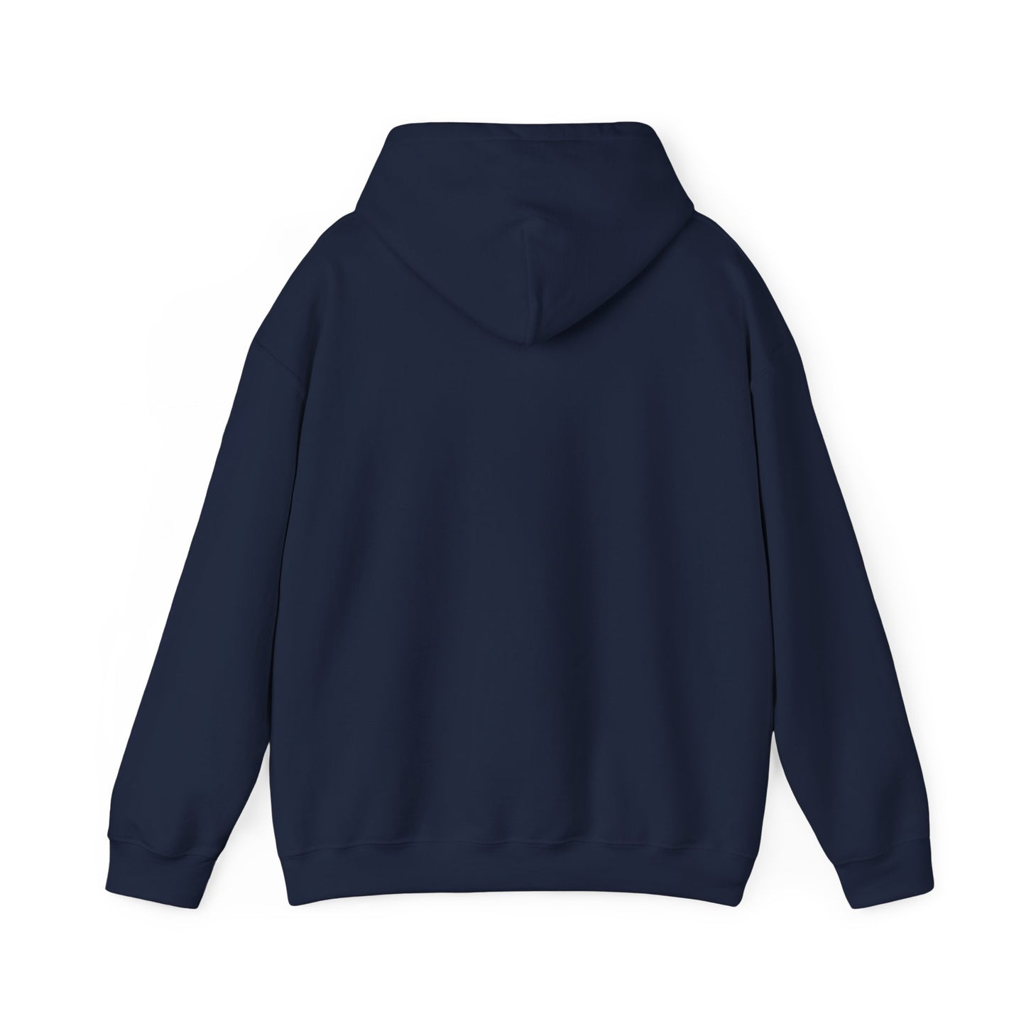 Retro 70s Sunset Surf Hoodie | Analog Sunshine, Vintage Palm Postcard