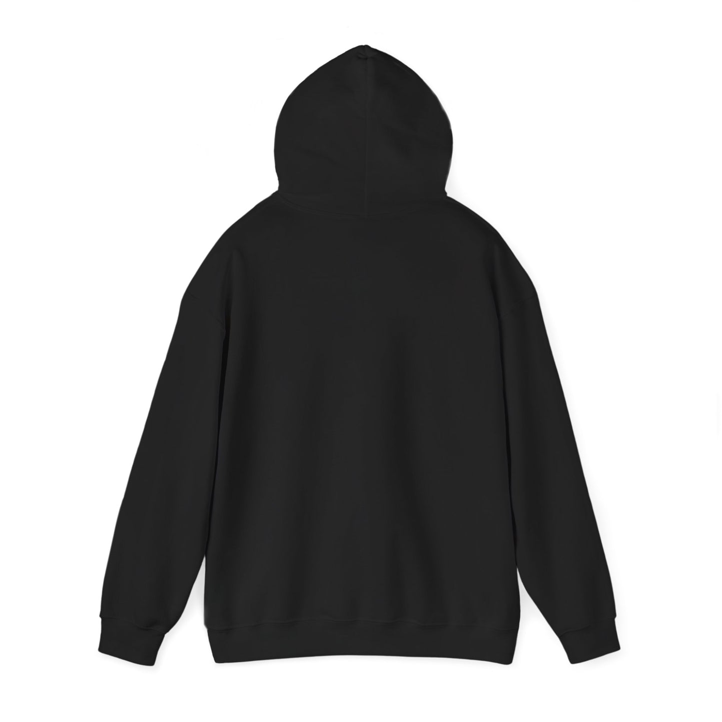 Retro 70s Sunset Surf Hoodie | Analog Sunshine, Vintage Palm Postcard